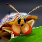 0nlycans Profile Picture