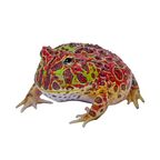 Profile picture of froggo123
