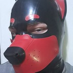 lonepup22 Profile Picture