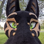 nsfwjackal Profile Picture