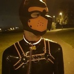 Profile picture of pup_qu1nn